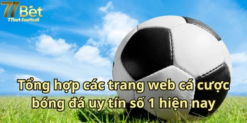 Tổng hợp các trang web cá cược bóng đá uy tín số 1 hiện nay